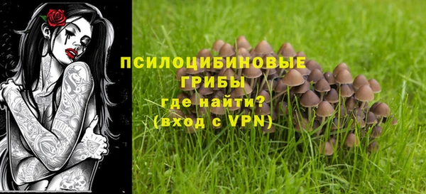 соль курить ск Алзамай
