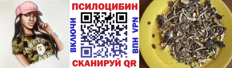 купить наркоту  Арсеньев  Псилоцибиновые грибы мухоморы 